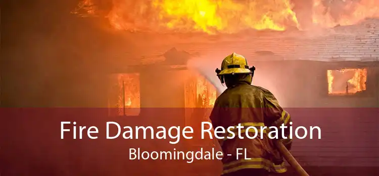 Fire Damage Restoration Bloomingdale - FL