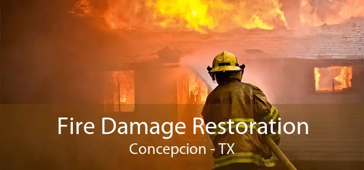 Fire Damage Restoration Concepcion - TX
