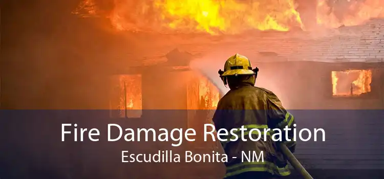 Fire Damage Restoration Escudilla Bonita - NM