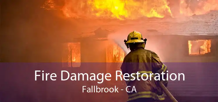 Fire Damage Restoration Fallbrook - CA