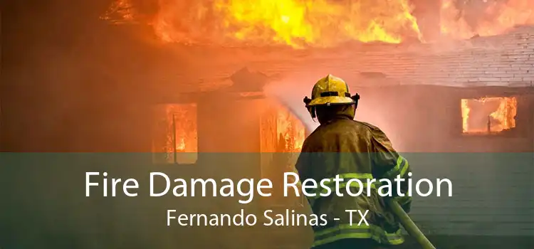 Fire Damage Restoration Fernando Salinas - TX