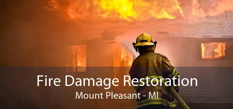 Fire Damage Restoration Mount Pleasant - MI