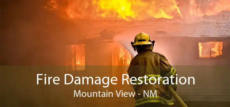 Fire Damage Restoration Mountain View - NM