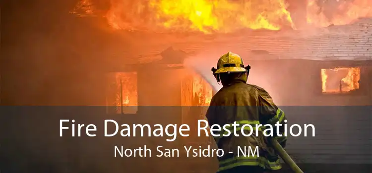 Fire Damage Restoration North San Ysidro - NM