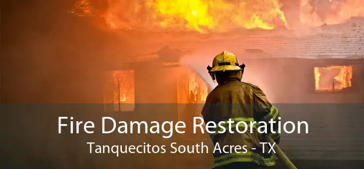 Fire Damage Restoration Tanquecitos South Acres - TX
