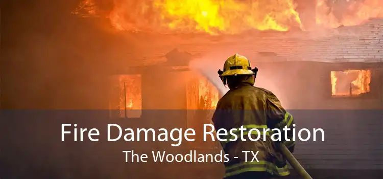 Fire Damage Restoration The Woodlands - TX