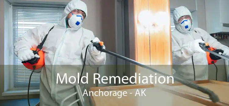 Mold Remediation Anchorage - AK