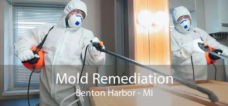 Mold Remediation Benton Harbor - MI