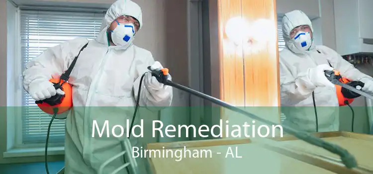 Mold Remediation Birmingham - AL