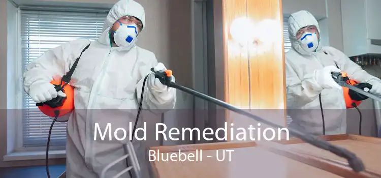 Mold Remediation Bluebell - UT