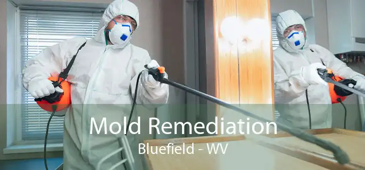 Mold Remediation Bluefield - WV