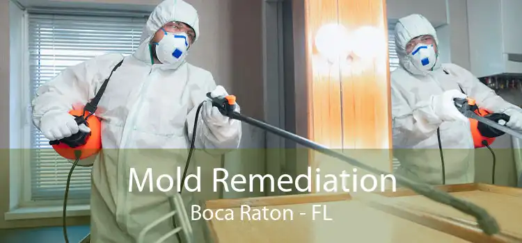 Mold Remediation Boca Raton - FL
