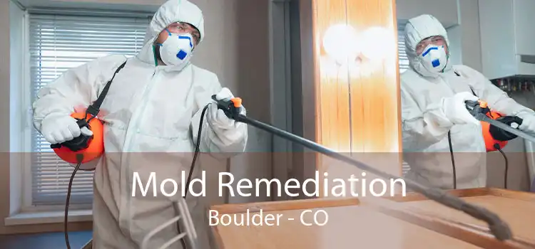 Mold Remediation Boulder - CO