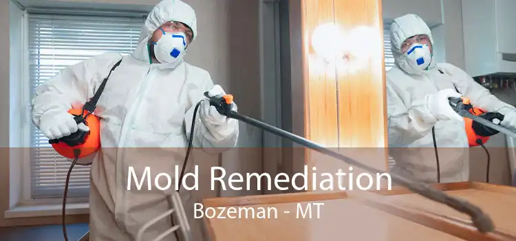 Mold Remediation Bozeman - MT