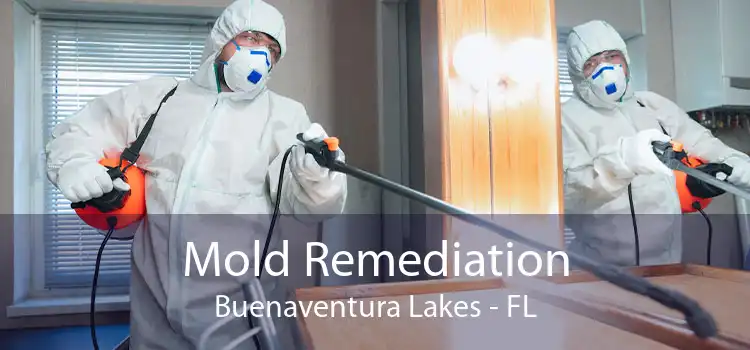 Mold Remediation Buenaventura Lakes - FL