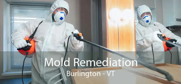 Mold Remediation Burlington - VT