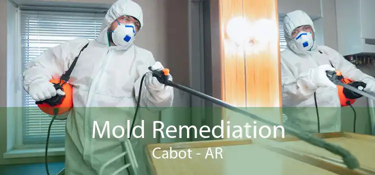 Mold Remediation Cabot - AR