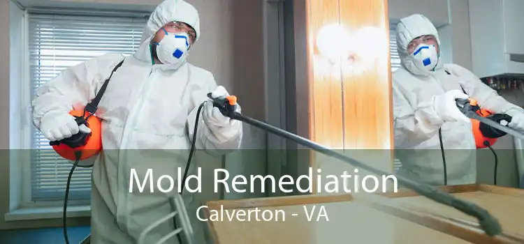 Mold Remediation Calverton - VA