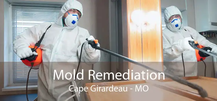 Mold Remediation Cape Girardeau - MO