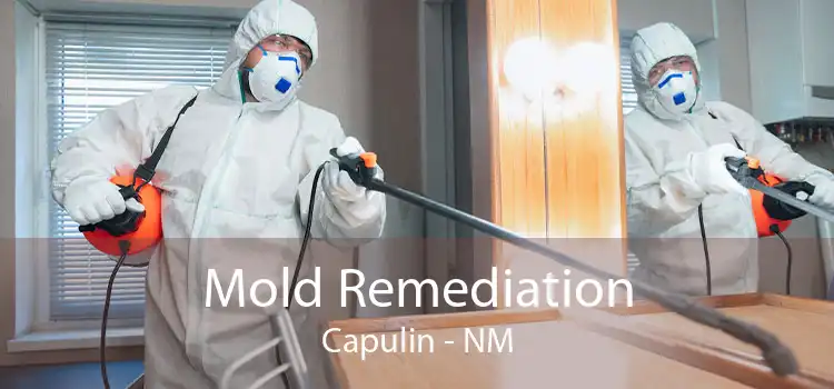 Mold Remediation Capulin - NM