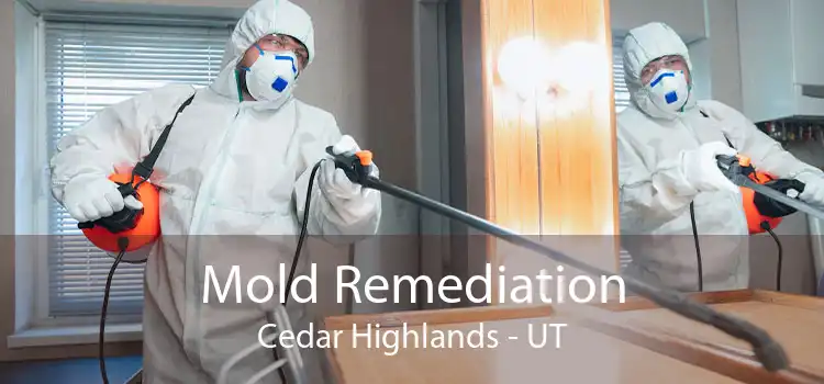 Mold Remediation Cedar Highlands - UT