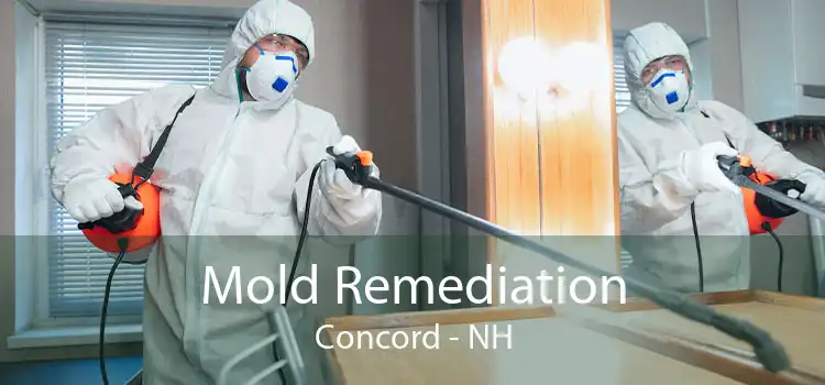 Mold Remediation Concord - NH