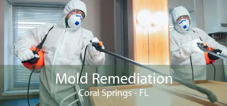 Mold Remediation Coral Springs - FL