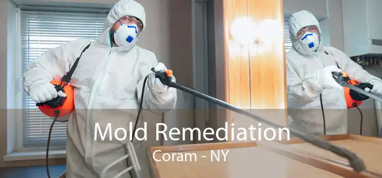 Mold Remediation Coram - NY