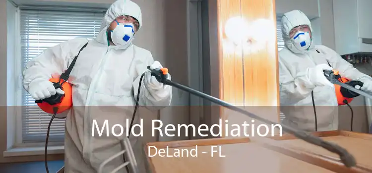 Mold Remediation DeLand - FL