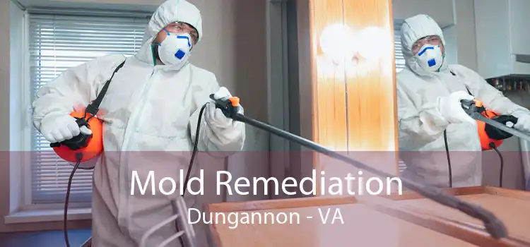 Mold Remediation Dungannon - VA