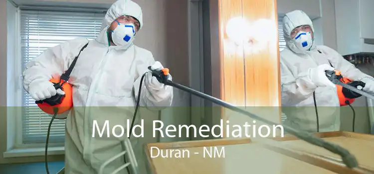 Mold Remediation Duran - NM
