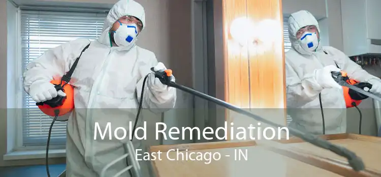 Mold Remediation East Chicago - IN