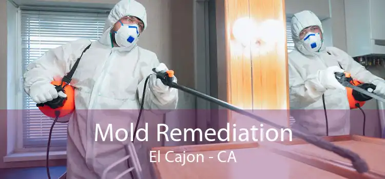 Mold Remediation El Cajon - CA