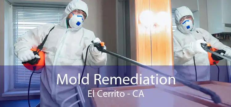 Mold Remediation El Cerrito - CA