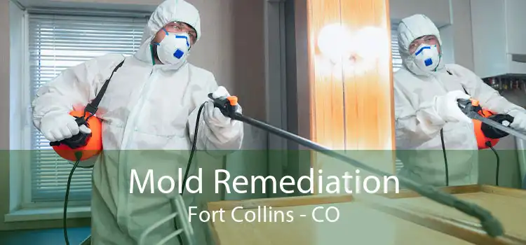 Mold Remediation Fort Collins - CO