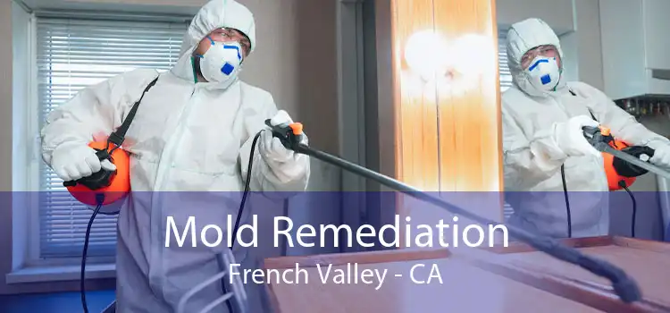 Mold Remediation French Valley - CA
