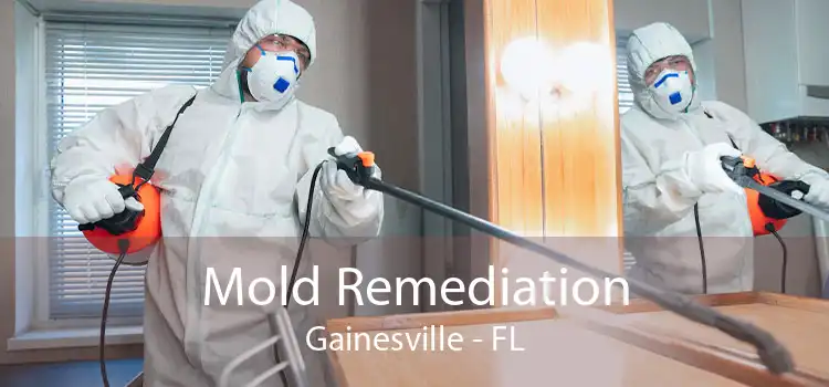 Mold Remediation Gainesville - FL