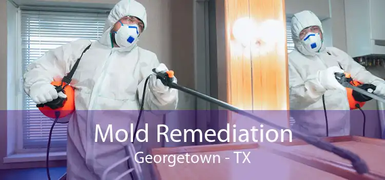 Mold Remediation Georgetown - TX