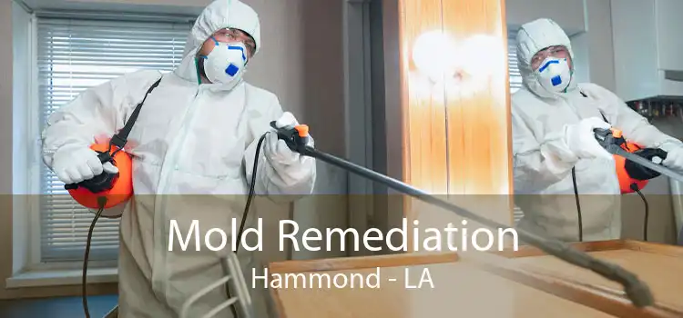 Mold Remediation Hammond - LA