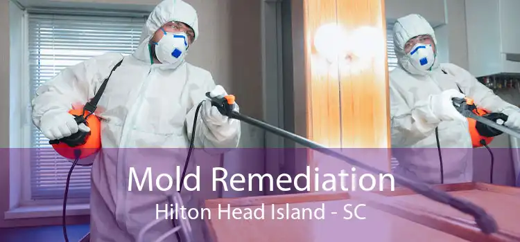 Mold Remediation Hilton Head Island - SC