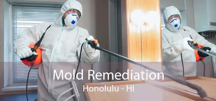 Mold Remediation Honolulu - HI