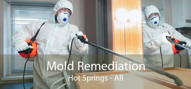 Mold Remediation Hot Springs - AR