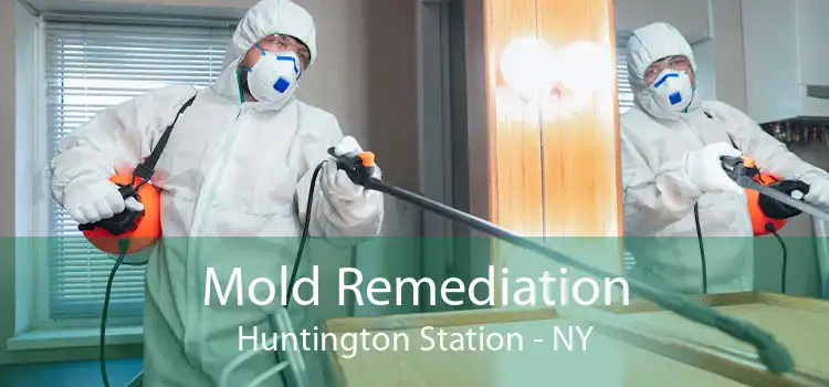 Mold Remediation Huntington Station - NY