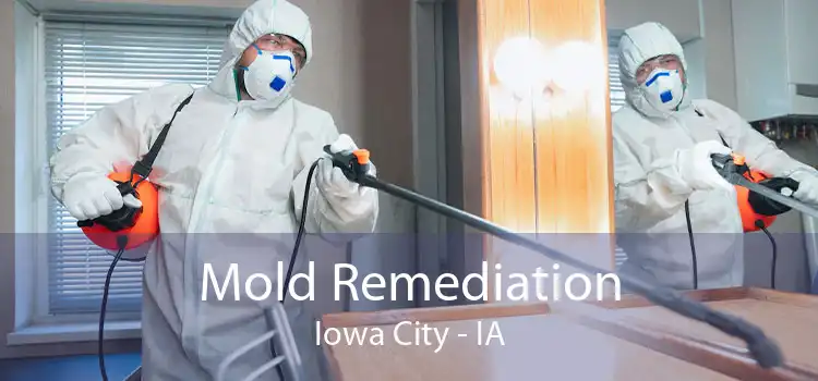 Mold Remediation Iowa City - IA