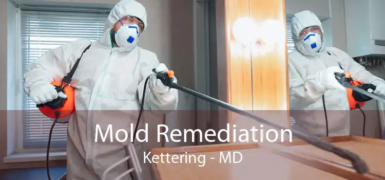 Mold Remediation Kettering - MD