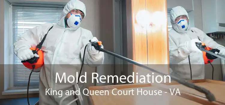 Mold Remediation King and Queen Court House - VA