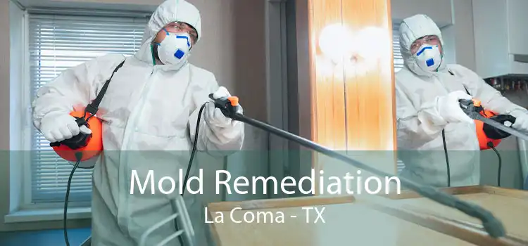 Mold Remediation La Coma - TX