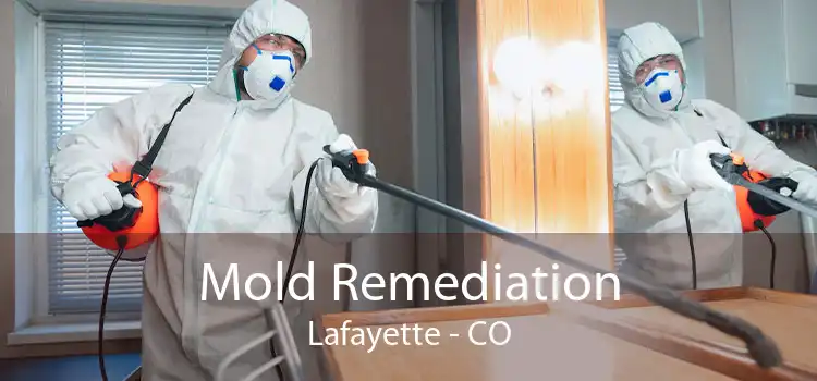 Mold Remediation Lafayette - CO