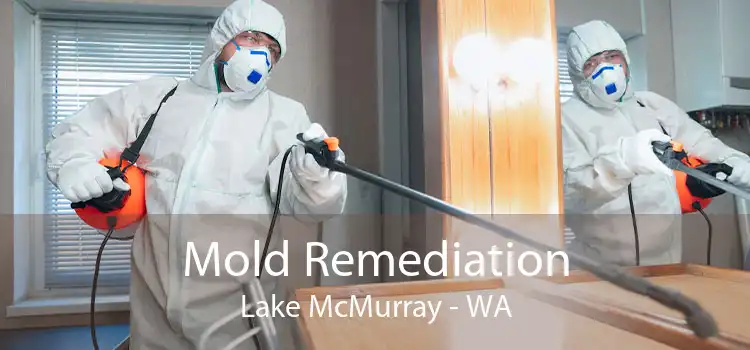 Mold Remediation Lake McMurray - WA