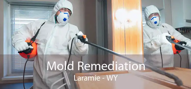 Mold Remediation Laramie - WY